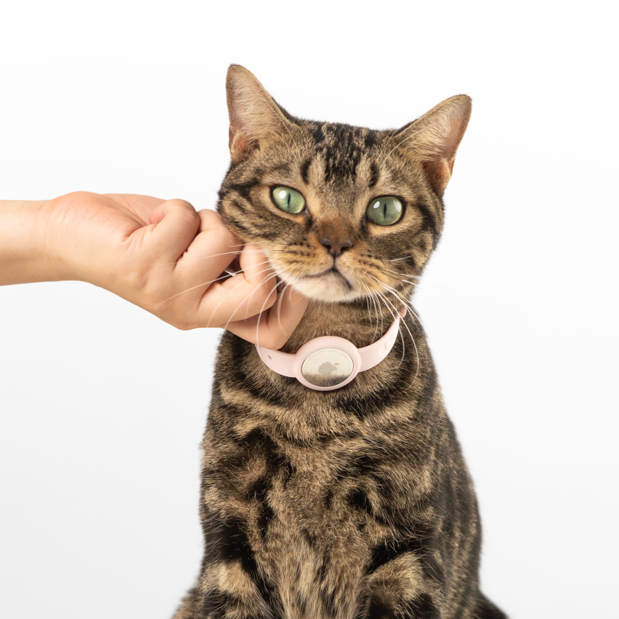Anti-Choke AirTag Cat Collar G2 (QR)