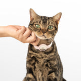 Anti-Choking Cat Collar (AirTag Elastic Silicone)