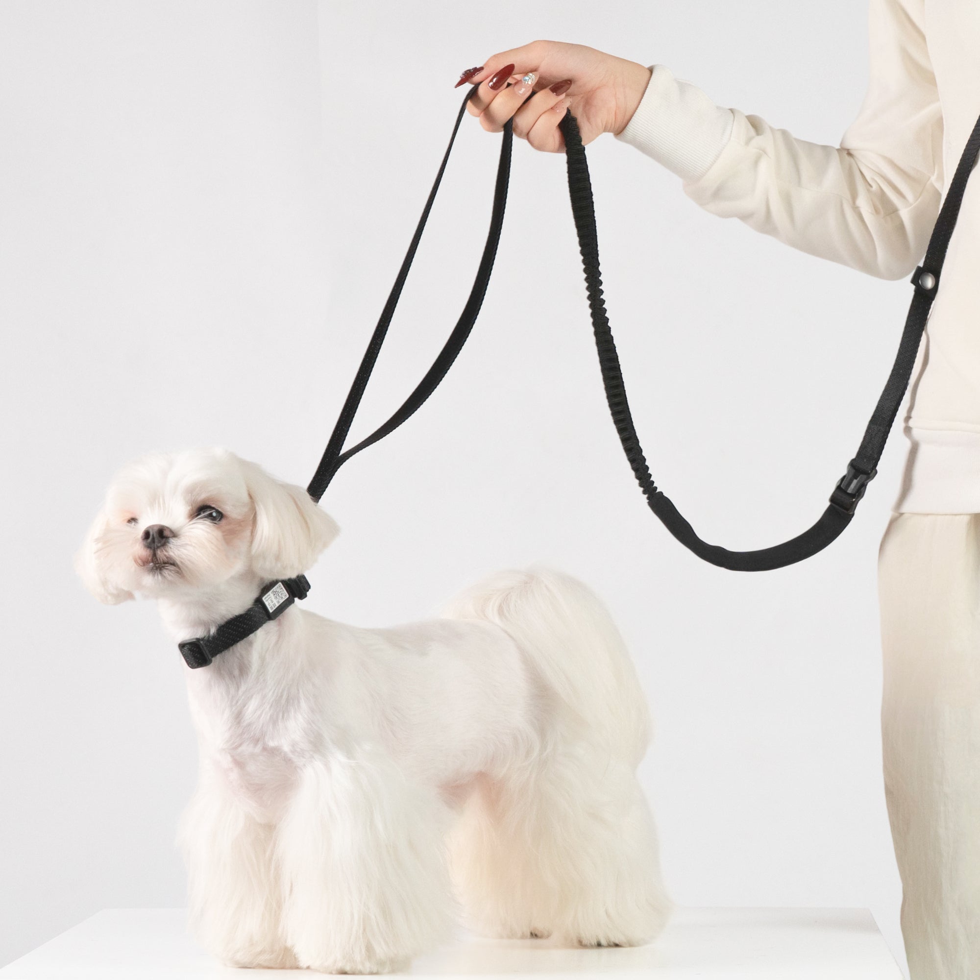 All-Weather Dog Collar Light/Super Reflective