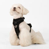 All-Weather Harness (Light)