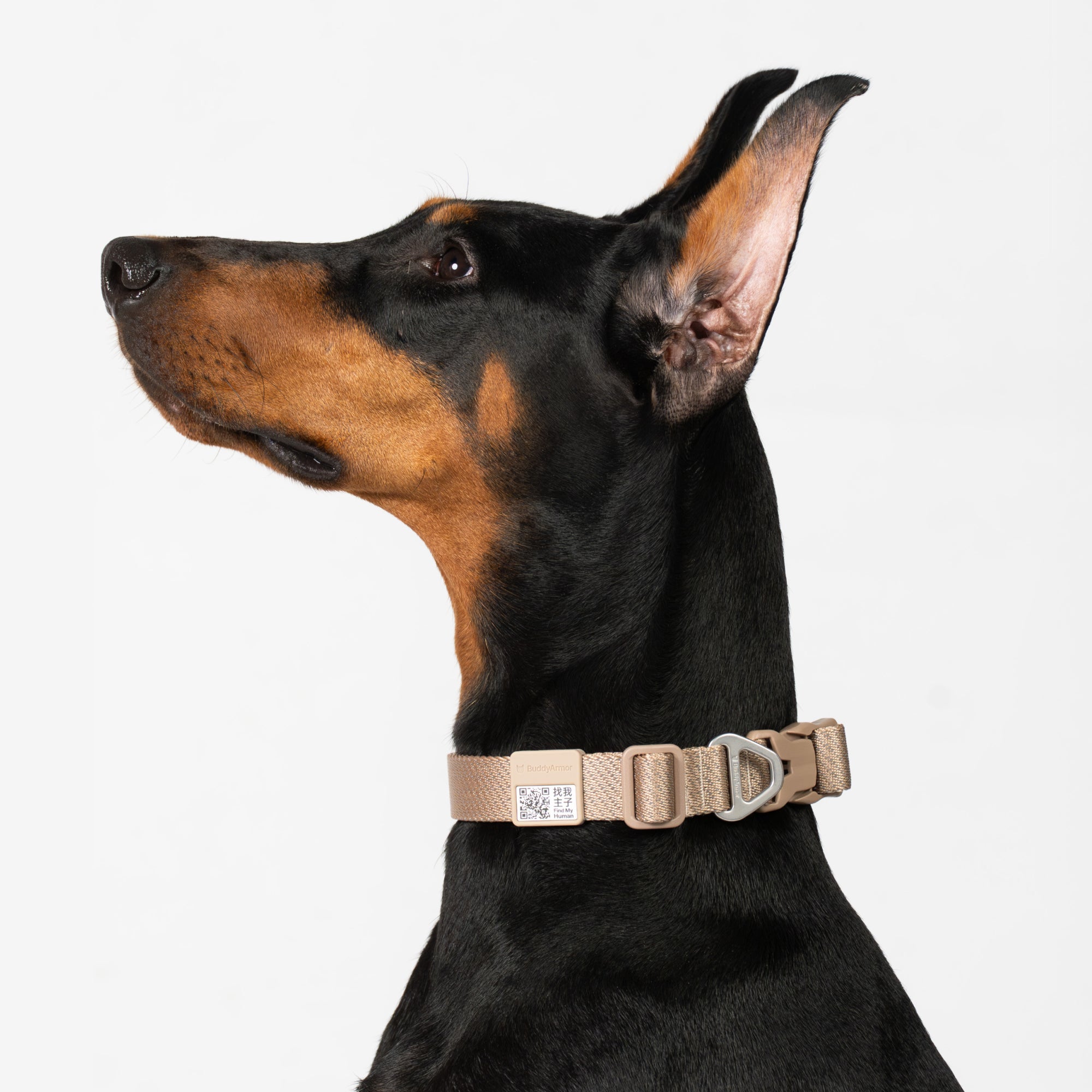 All-Weather Dog Collar Light/Super Reflective