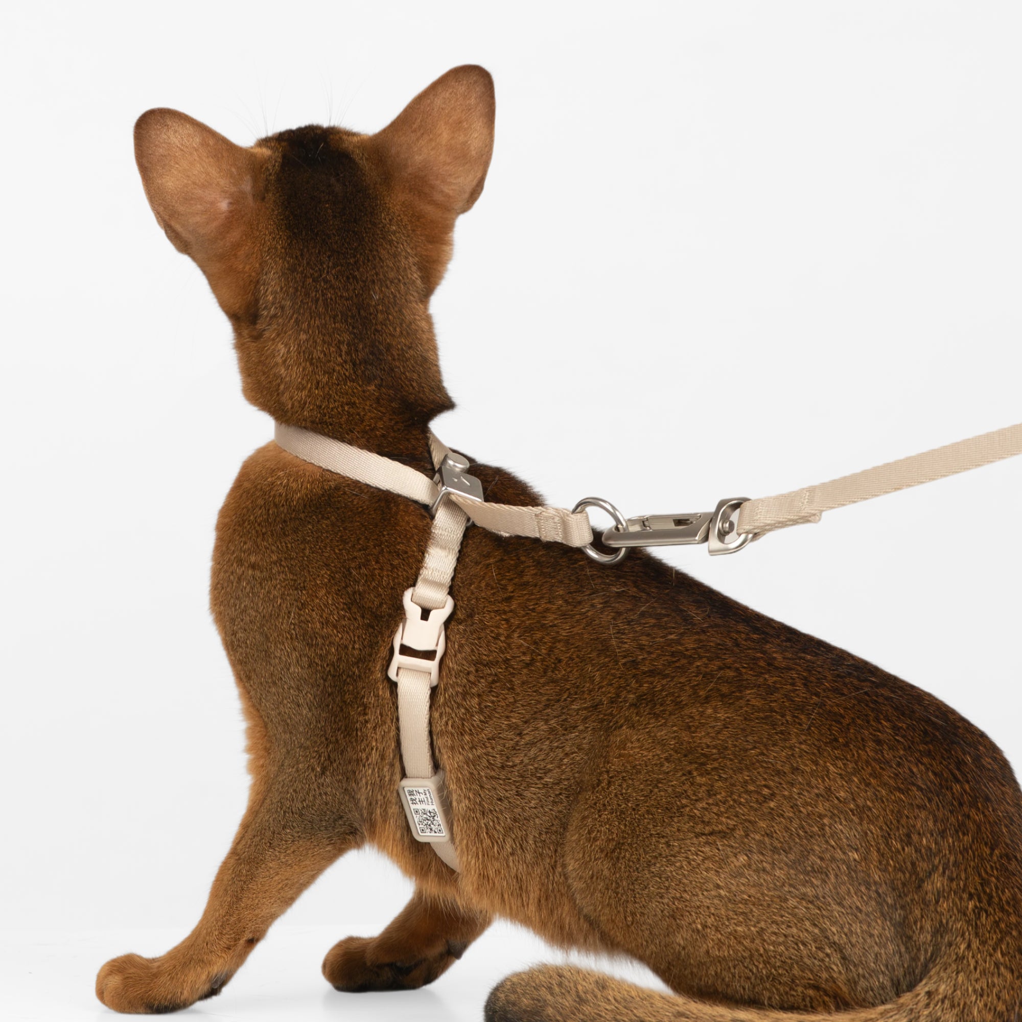 BA Escape-Proof 8 Cat Harness G2 QR