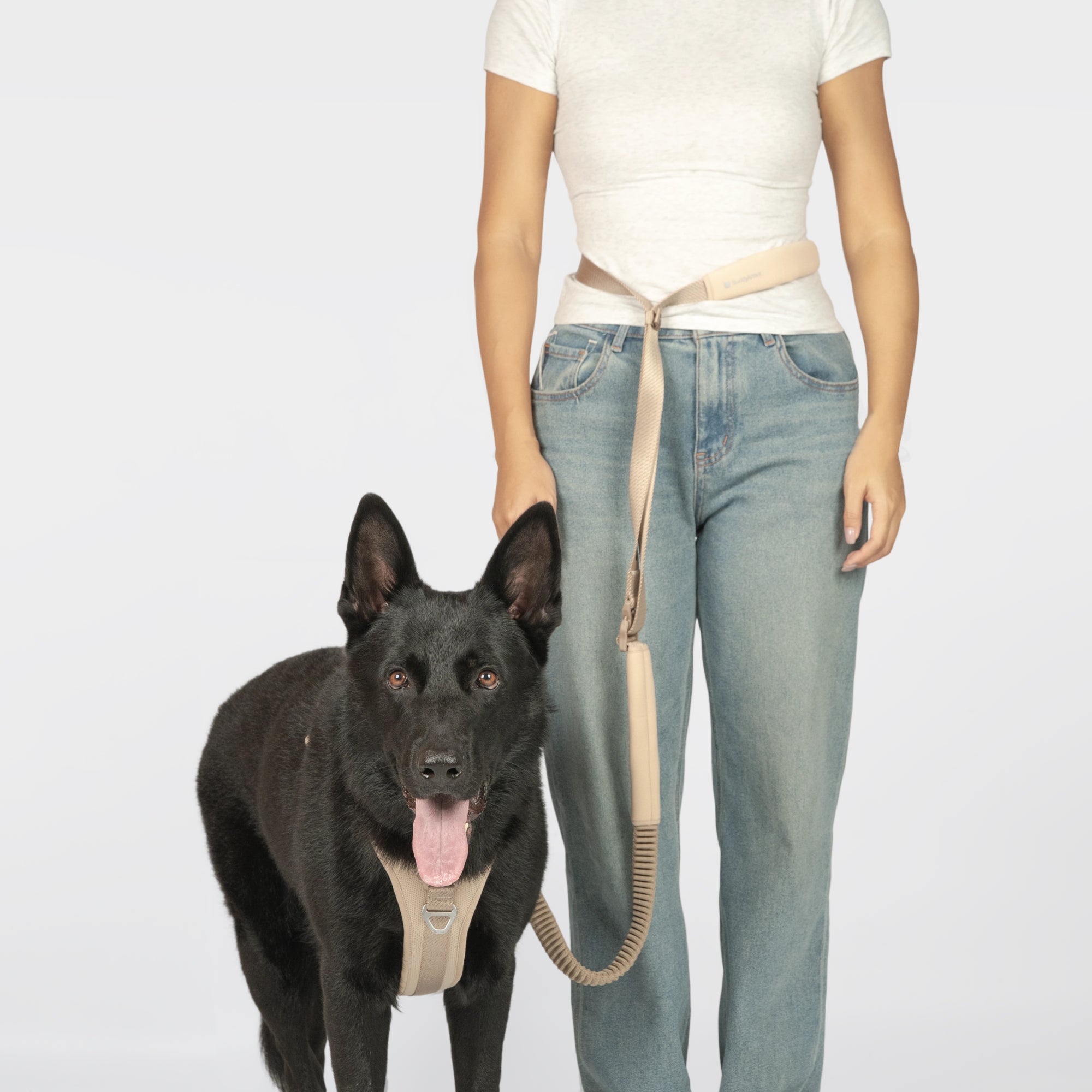 BA Hands-Free Dog Leash