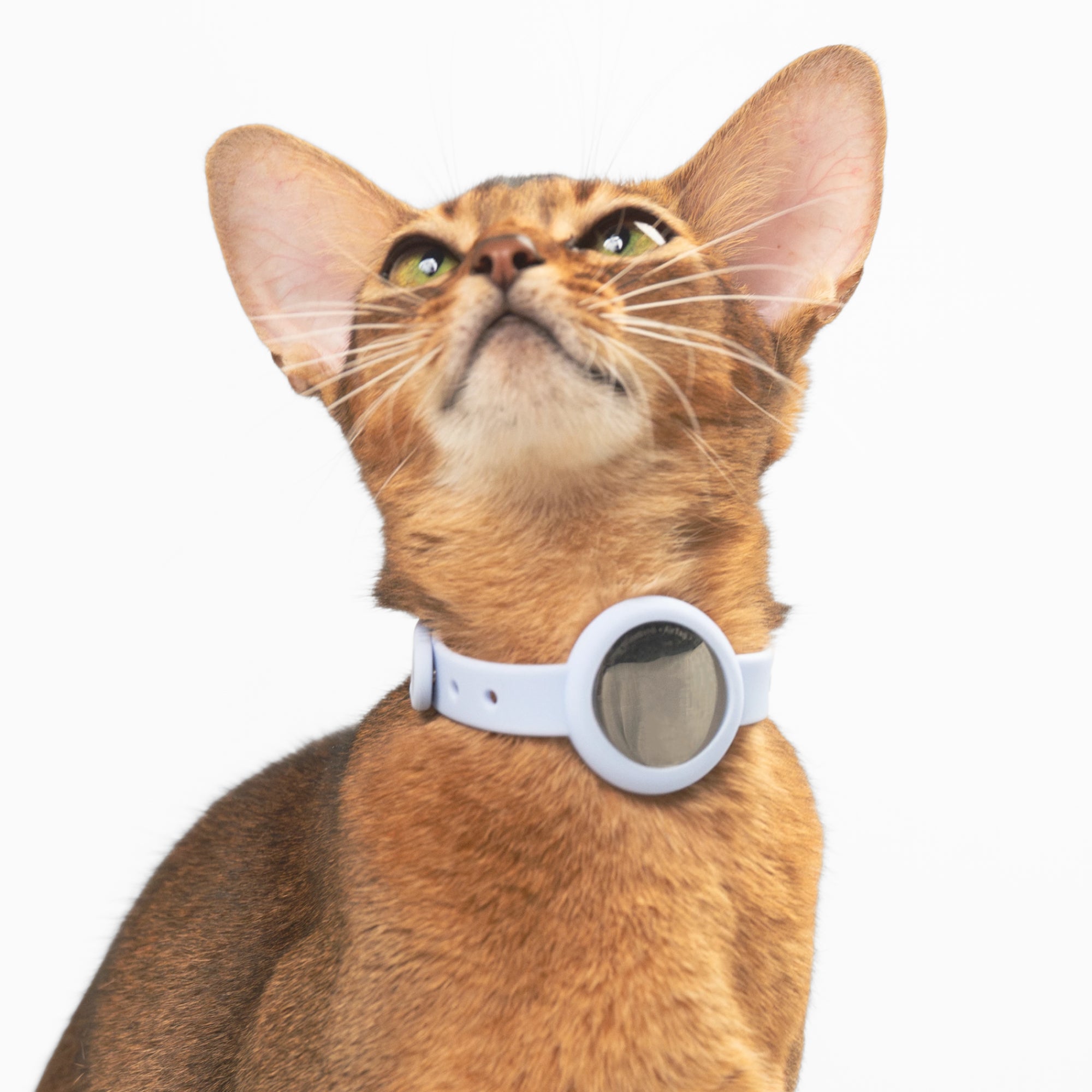Anti-Choke AirTag Cat Collar G2 (QR)
