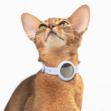 Anti-Choking Cat Collar (AirTag Elastic Silicone)