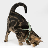 Sense-Security Cat Carrier 3Bundle 001