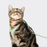 Hands-Free (Cord) Leash