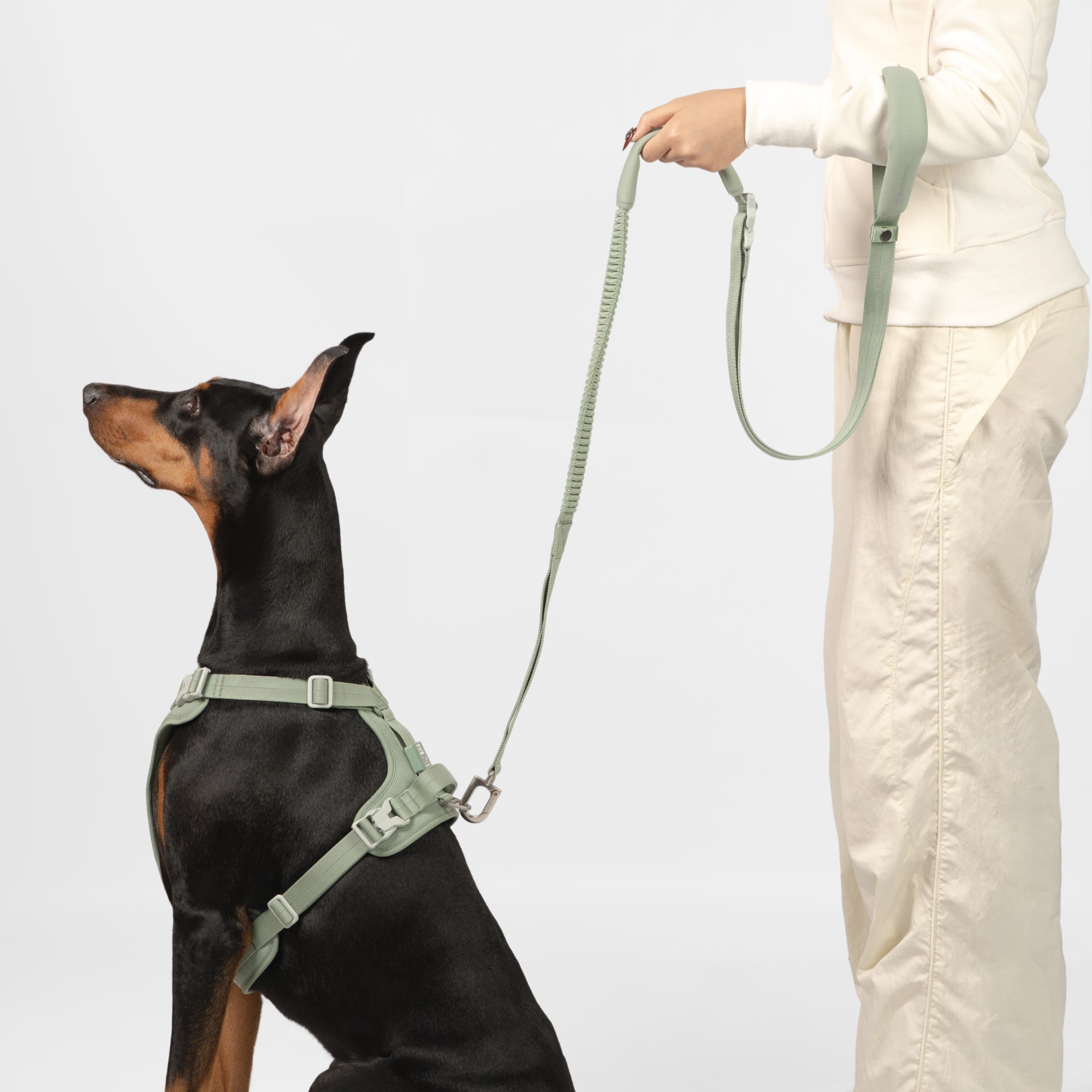 BA Hands-Free Dog Leash