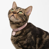 Anti-Lost QR Tag (Silicone)