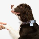 Anti-Lost QR Tag (Silicone)