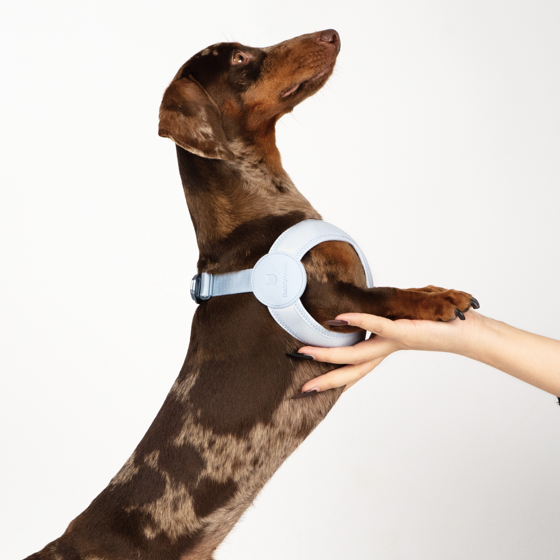 Ultra Comfortable Harness