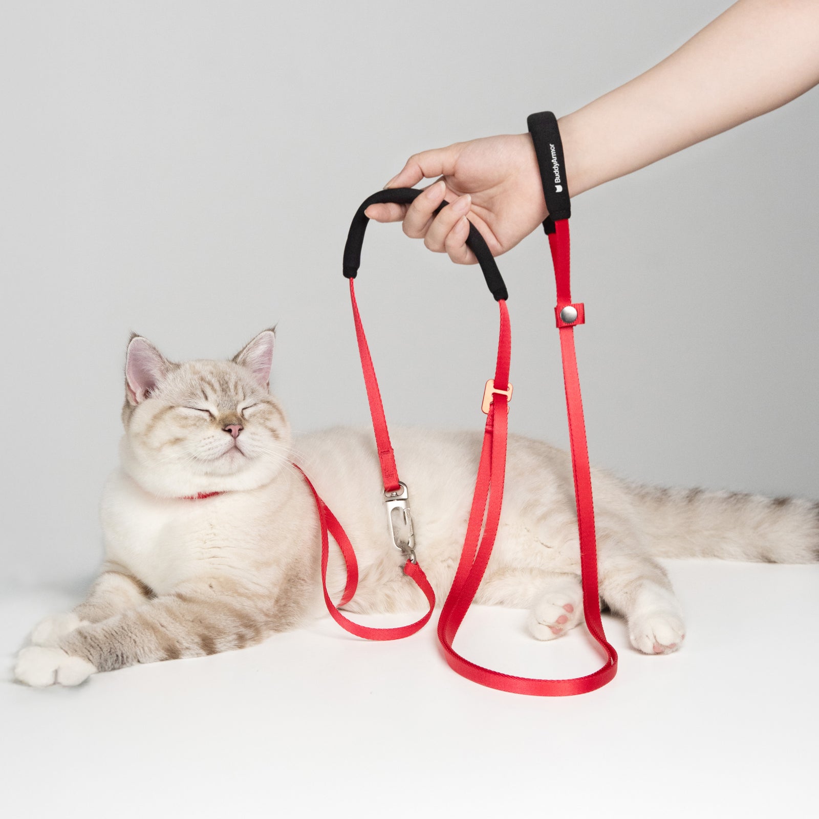 Escape-Proof Harness (All-in-One)