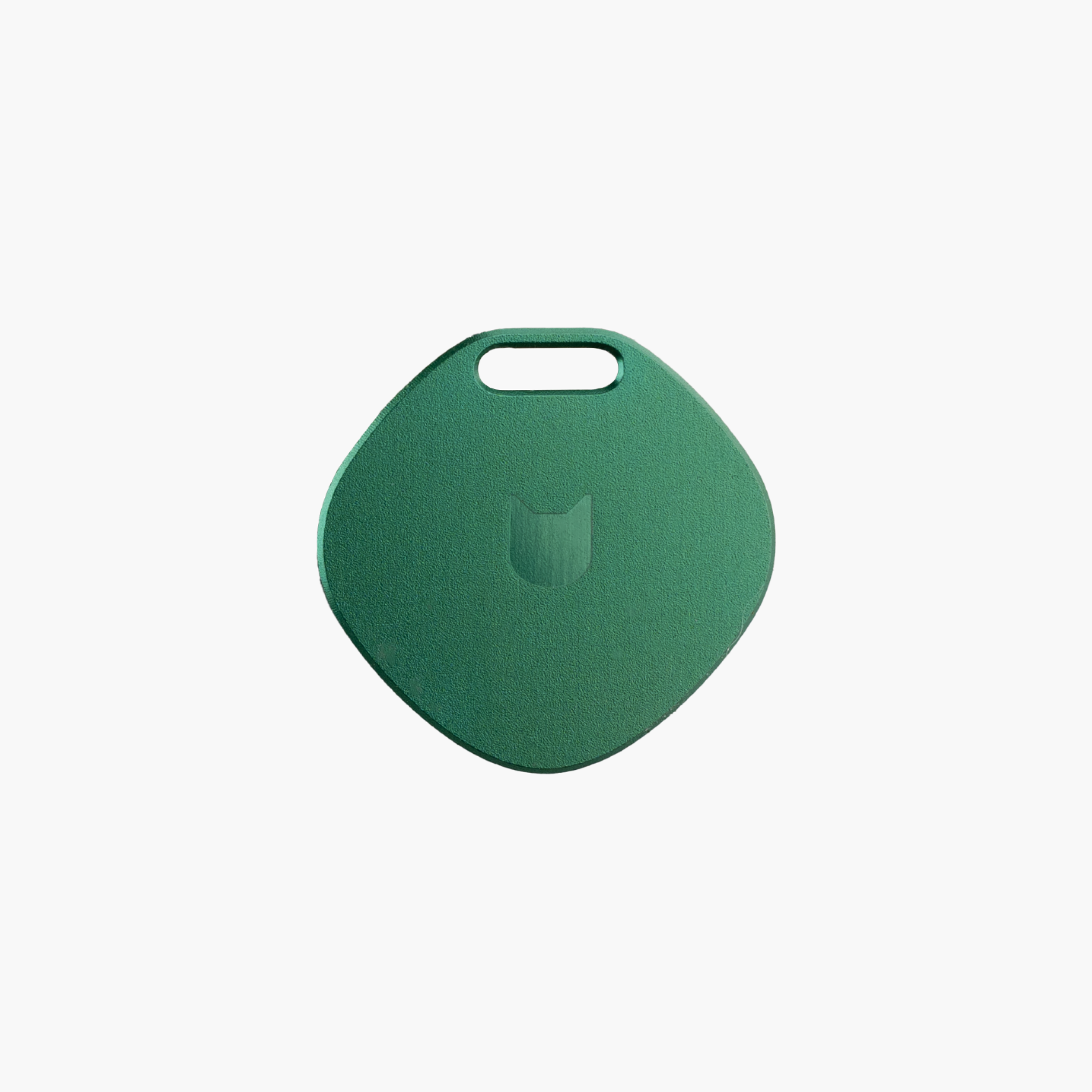 Star Cat Tag