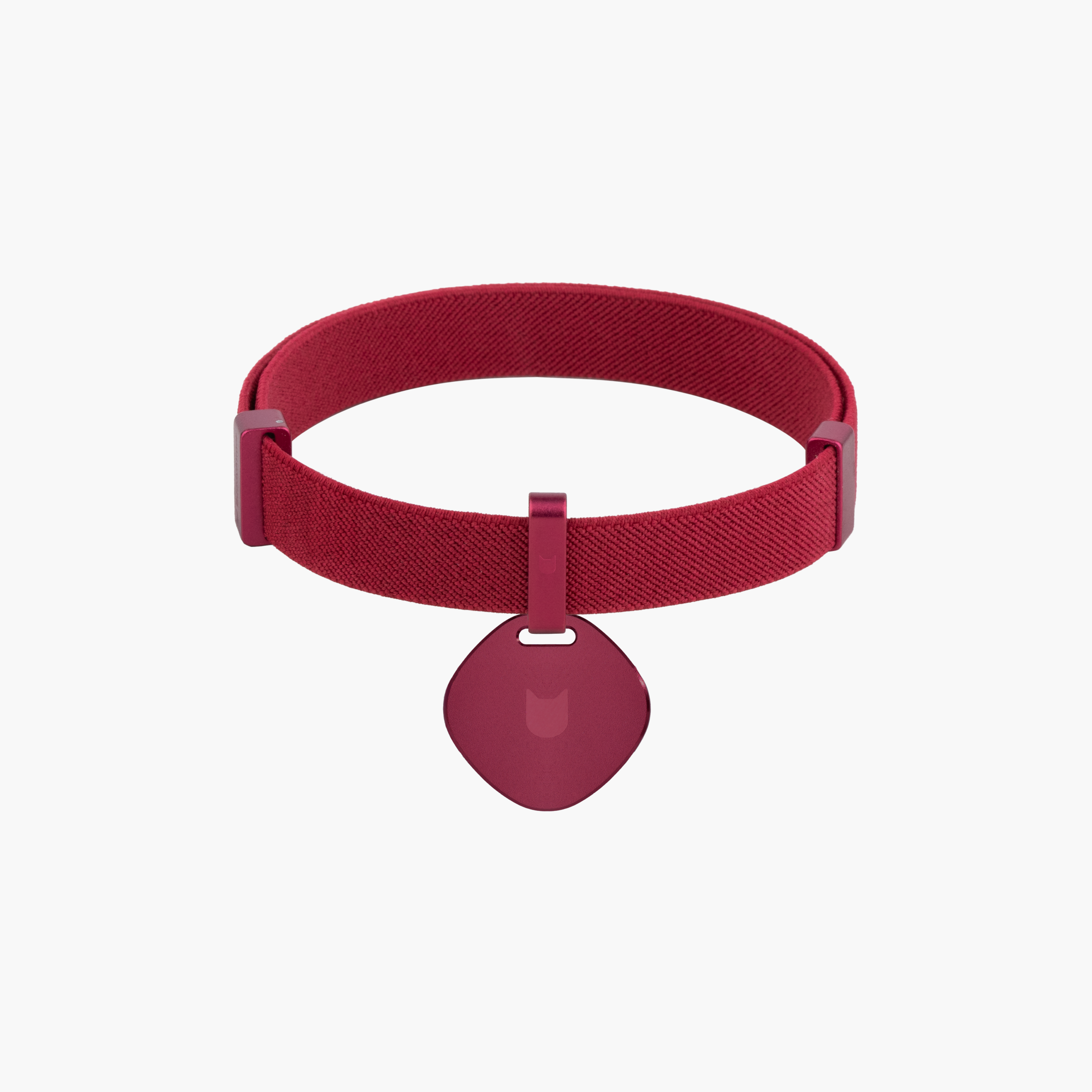 Star Tag + Safety Cat Collar