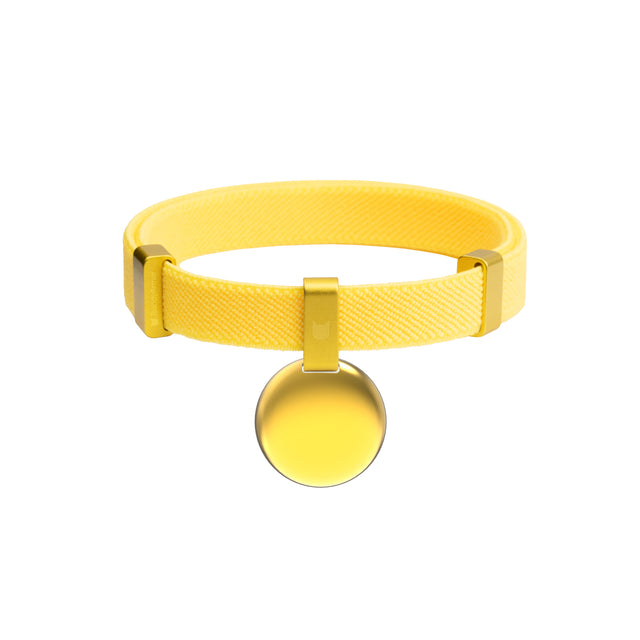 Gem Tag +Safety Cat Collar