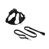All-Weather Harness Leash SET