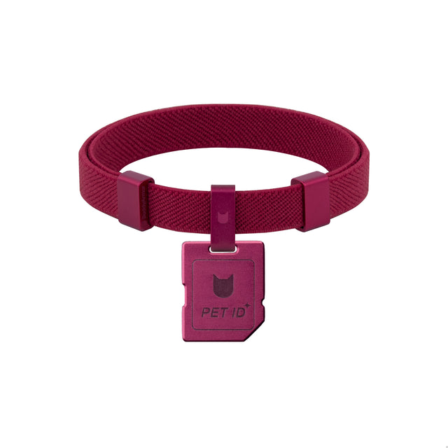 Anti-Lost QR Tag Cat Collar KIT - Mini Card