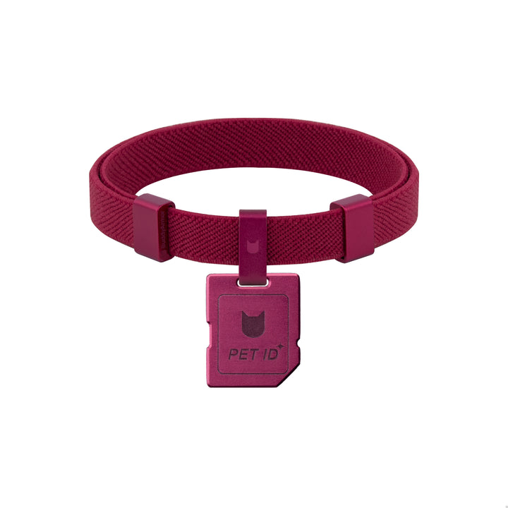 Anti-Lost QR Tag Cat Collar KIT - Mini Card