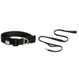 All-Weather Collar (Super Reflective)