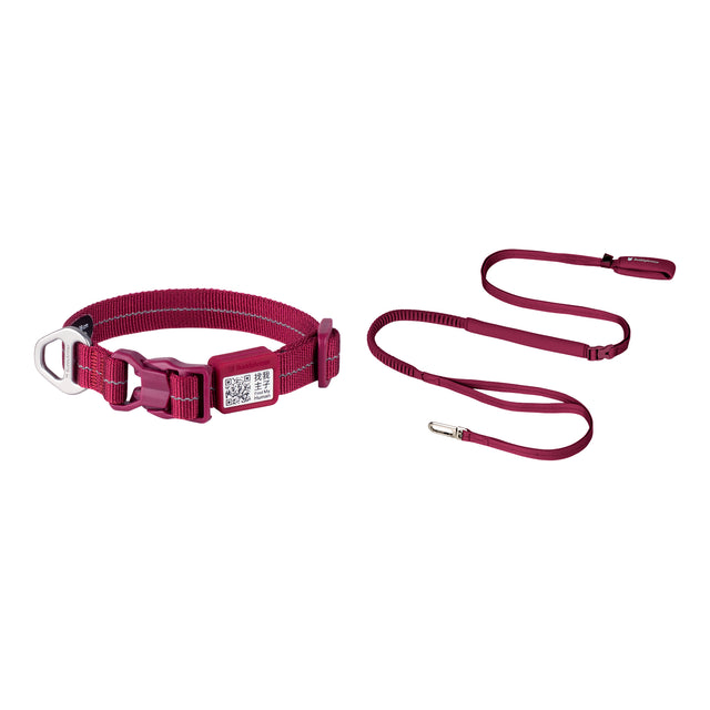 All-Weather Collar Leash SET