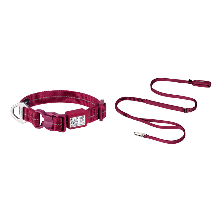 All-Weather Collar Leash SET