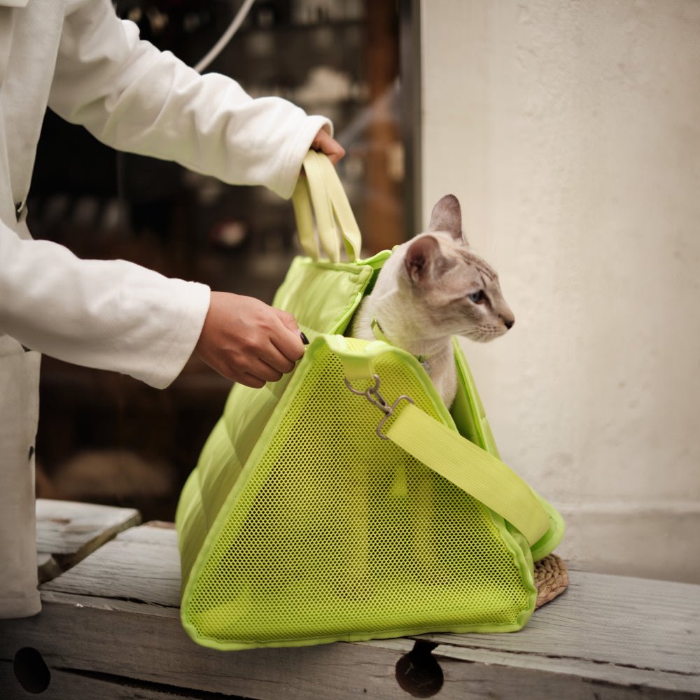 Kent Cat Carrier - BuddyArmor